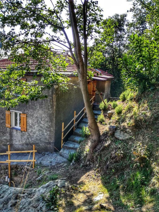 ואראצה Berzuaia Bed & Breakfast מראה חיצוני תמונה