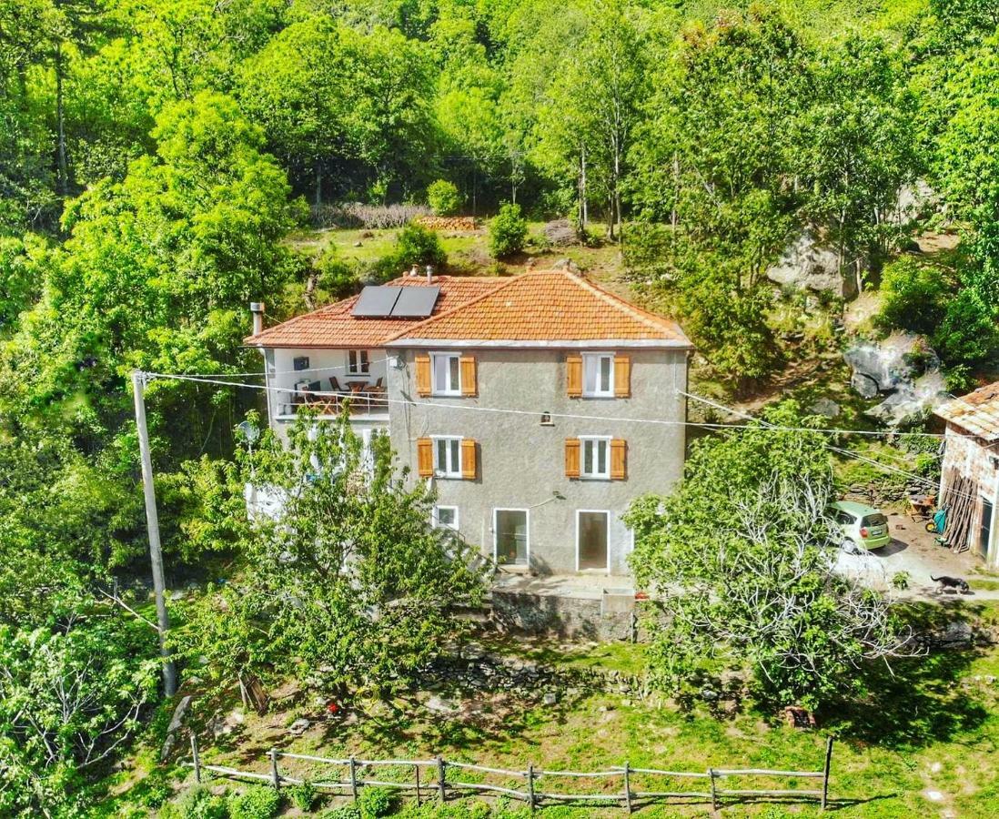 ואראצה Berzuaia Bed & Breakfast מראה חיצוני תמונה